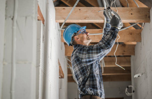 Best Electrician for Home Renovation  in Taylor Creek, OH