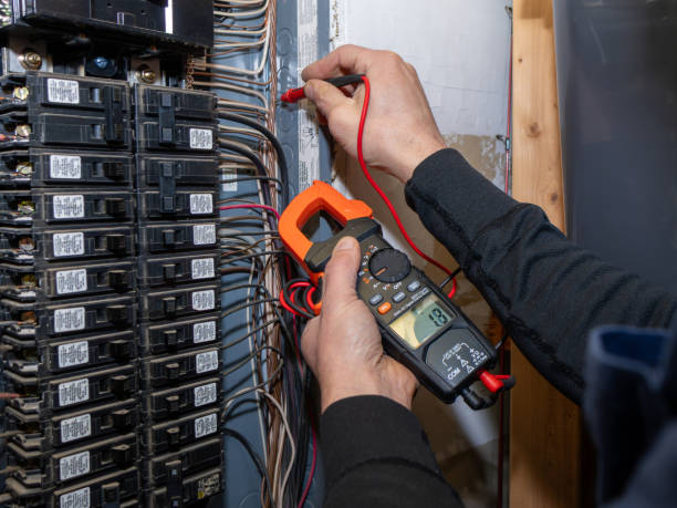 Best Electrician for Home Renovation  in Taylor Creek, OH